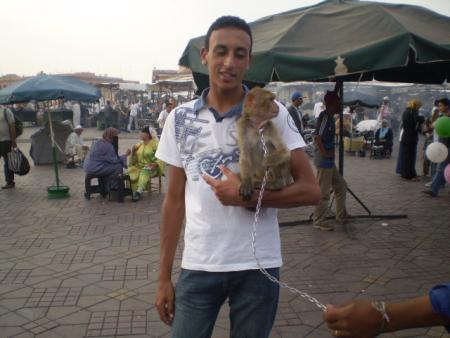 bla mangolha rakom 3arfin